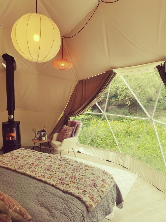 מלון סליגו Teapot Lane Glamping - Adults Only מראה חיצוני תמונה